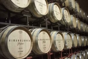 Private tour to Peña de Bernal & Freixenet Winery from CDMX