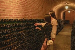 Private tour to Peña de Bernal & Freixenet Winery from CDMX