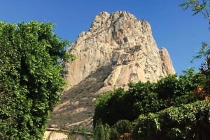 Private tour to Peña de Bernal & Freixenet Winery from CDMX