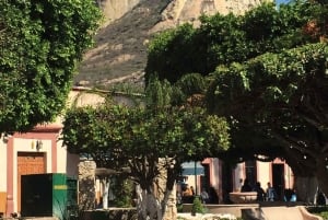 Private tour to Peña de Bernal & Freixenet Winery from CDMX