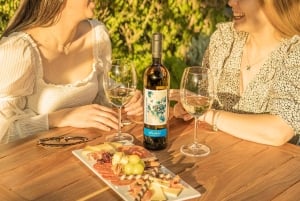 Private tour to Peña de Bernal & Freixenet Winery from CDMX