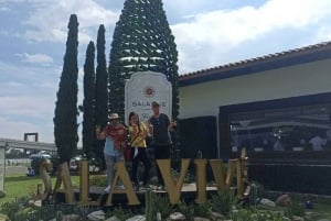 Private tour to Peña de Bernal & Freixenet Winery from CDMX