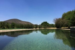 Private tour to Peña de Bernal & Freixenet Winery from CDMX