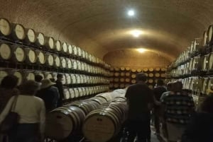 Private tour to Peña de Bernal & Freixenet Winery from CDMX