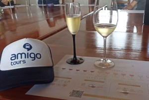 Private tour to Peña de Bernal & Freixenet Winery from CDMX