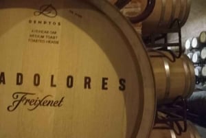 Private tour to Peña de Bernal & Freixenet Winery from CDMX