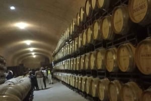 Private tour to Peña de Bernal & Freixenet Winery from CDMX