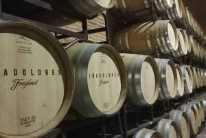 Private tour to Peña de Bernal & Freixenet Winery from CDMX