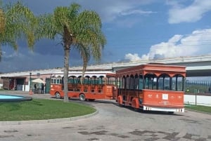 Private tour to Peña de Bernal & Freixenet Winery from CDMX