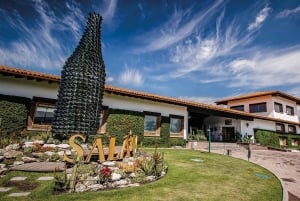 Private tour to Peña de Bernal & Freixenet Winery from CDMX