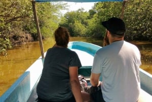 Private Turtle Release Lagoon Boat Ride & High Divers Exprce