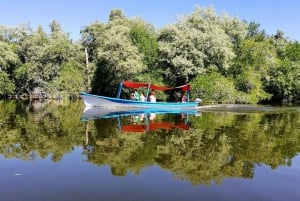 Private Turtle Release Lagoon Boat Ride & High Divers Exprce