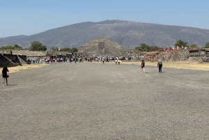 Tour Privado VIP Teotihuacán: Transporte+Guía local en inglés