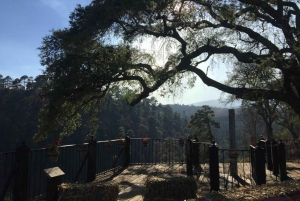 Puebla: Alpinia Mountain and Nature Park