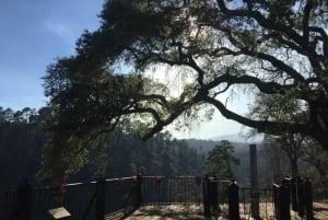 Puebla: Parque Natural y de Montaña Alpinia