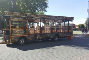 Puebla: Visita al Pueblo Mágico de Cholula en autobús de dos pisos