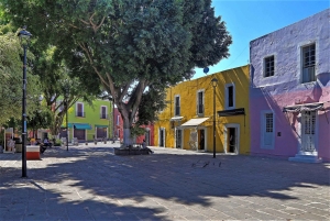 Puebla: Hop-on Hop-off City Tour and Aquarium Michín