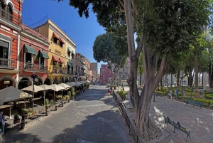 Puebla: Hop-on Hop-off City Tour and Aquarium Michín