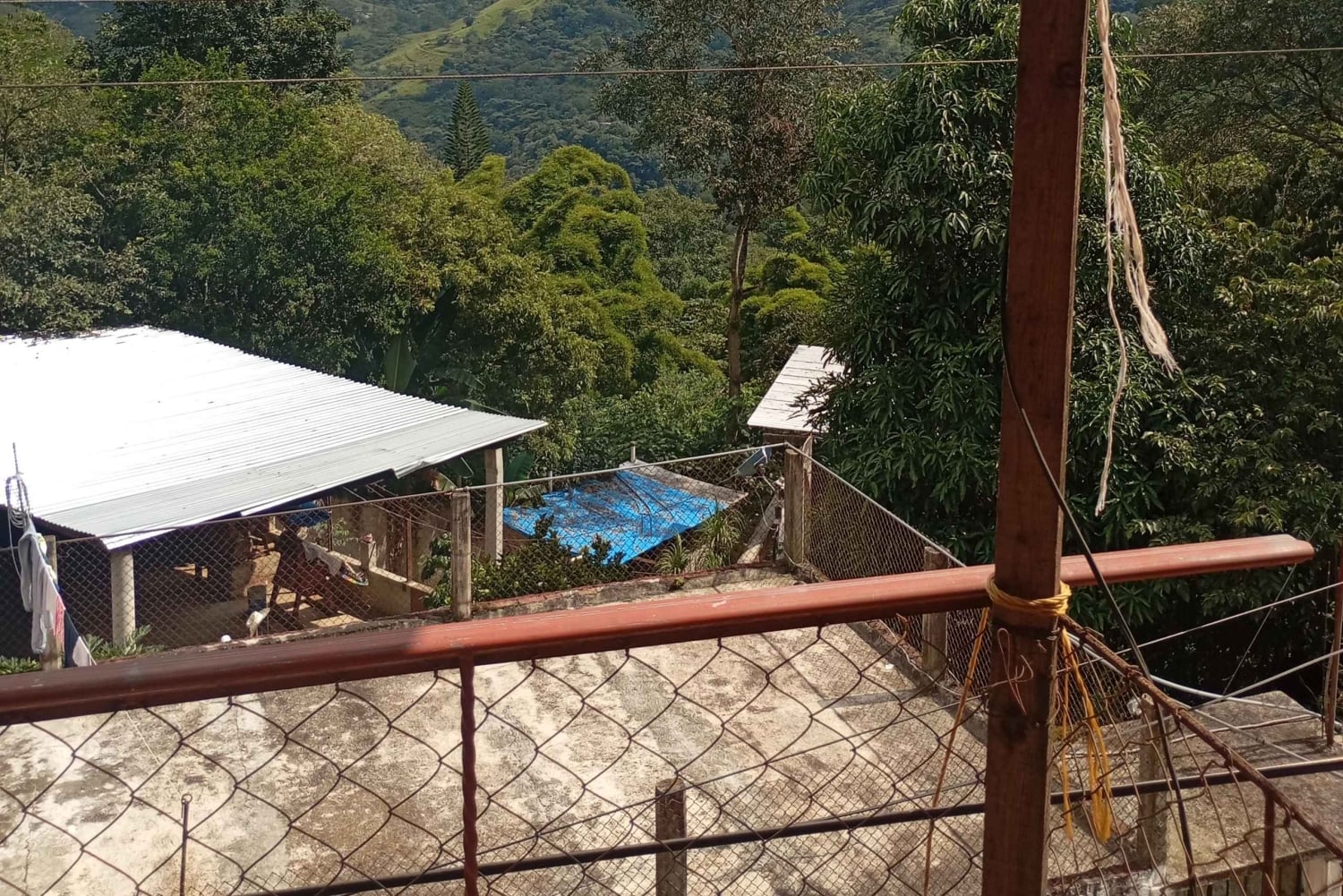 Puebla: tour de café y papel amate en San Pablito