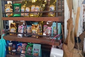Puebla: San Pablito Amate Paper and Coffee Tour