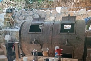 Puebla: tour de café y papel amate en San Pablito