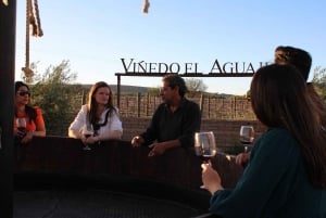 Aguascalientes: Magical Town and Winery Tour