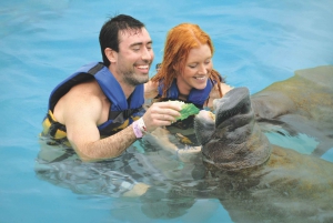 Puerto Aventuras: nado con delfines, leones marinos, manatíes y almuerzo
