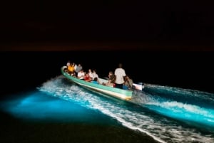 Puerto Escondido: espectáculo nocturno de bioluminiscencia