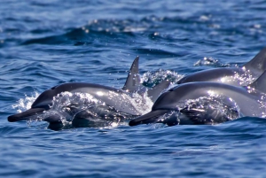 PUERTO ESCONDIDO:FAMILY PRIVATE BOAT TOUR!