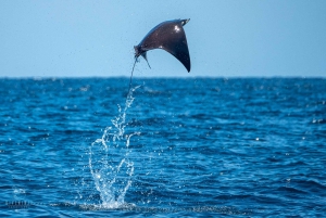 PUERTO ESCONDIDO:FAMILY PRIVATE BOAT TOUR!