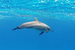 PUERTO ESCONDIDO:FAMILY PRIVATE BOAT TOUR!