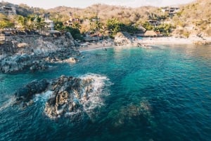 Puerto Escondido: Oaxaca Coast Wildlife Ecotour