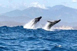 Puerto Escondido: Sunrise and Dolphin Watching Tour