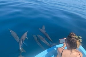 Puerto Escondido: Boat Tour to Swim with Dolphins & Turtles