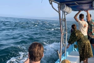 Puerto Escondido: Boat Tour to Swim with Dolphins & Turtles