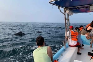 Puerto Escondido: Boat Tour to Swim with Dolphins & Turtles