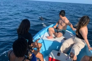 Puerto Escondido: Boat Tour to Swim with Dolphins & Turtles