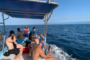 Puerto Escondido: Boat Tour to Swim with Dolphins & Turtles