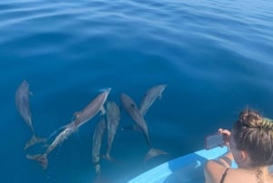 Puerto Escondido: Boat Tour to Swim with Dolphins & Turtles