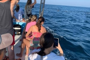 Puerto Escondido: Boat Tour to Swim with Dolphins & Turtles