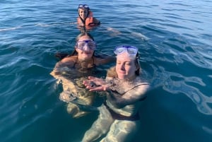 Puerto Escondido: Boat Tour to Swim with Dolphins & Turtles