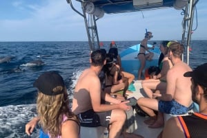 Puerto Escondido: Tour para disfrutar Delfines y Vida Marina