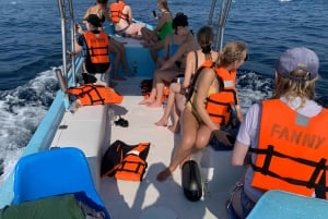 Puerto Escondido: Boat Tour to Swim with Dolphins & Turtles