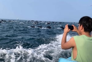 Puerto Escondido: Boat Tour to Swim with Dolphins & Turtles