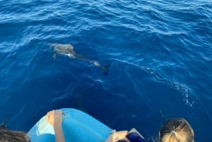 Puerto Escondido: Boat Tour to Swim with Dolphins & Turtles