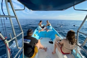 Puerto Escondido: Boat Tour to Swim with Dolphins & Turtles