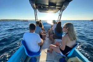 Puerto Escondido: Boat Tour to Swim with Dolphins & Turtles