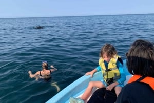 Puerto Escondido: Boat Tour to Swim with Dolphins & Turtles