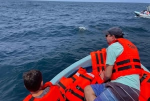 Puerto Escondido: Boat Tour to Swim with Dolphins & Turtles