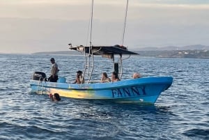 Puerto Escondido: Boat Tour to Swim with Dolphins & Turtles